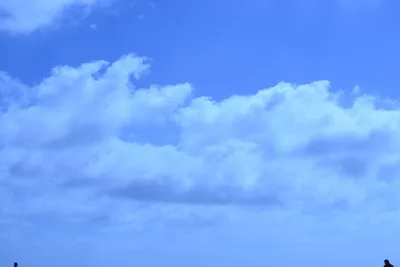 DSC_4989 (Large).JPG